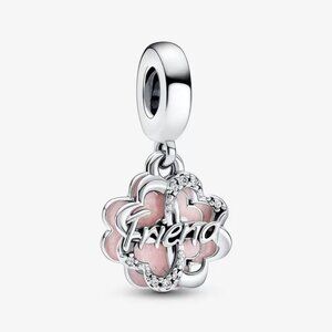 Pandora charms